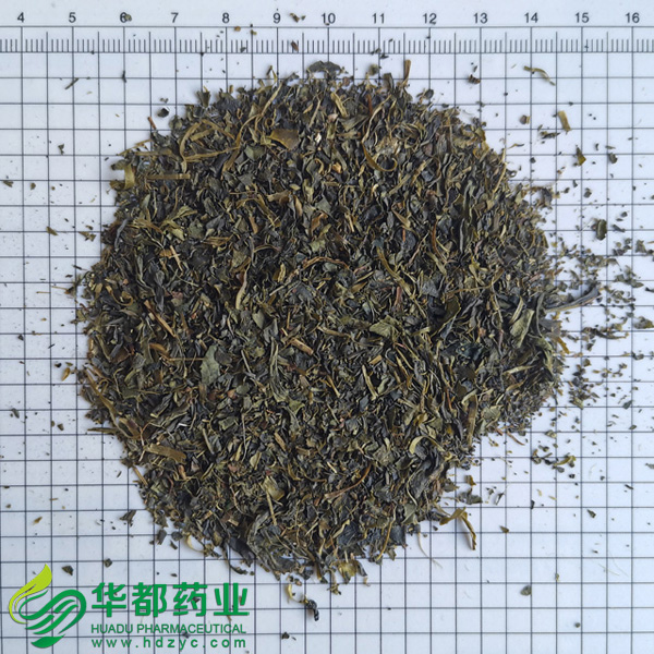 緑茶/绿茶緒/ Lv Cha Mo